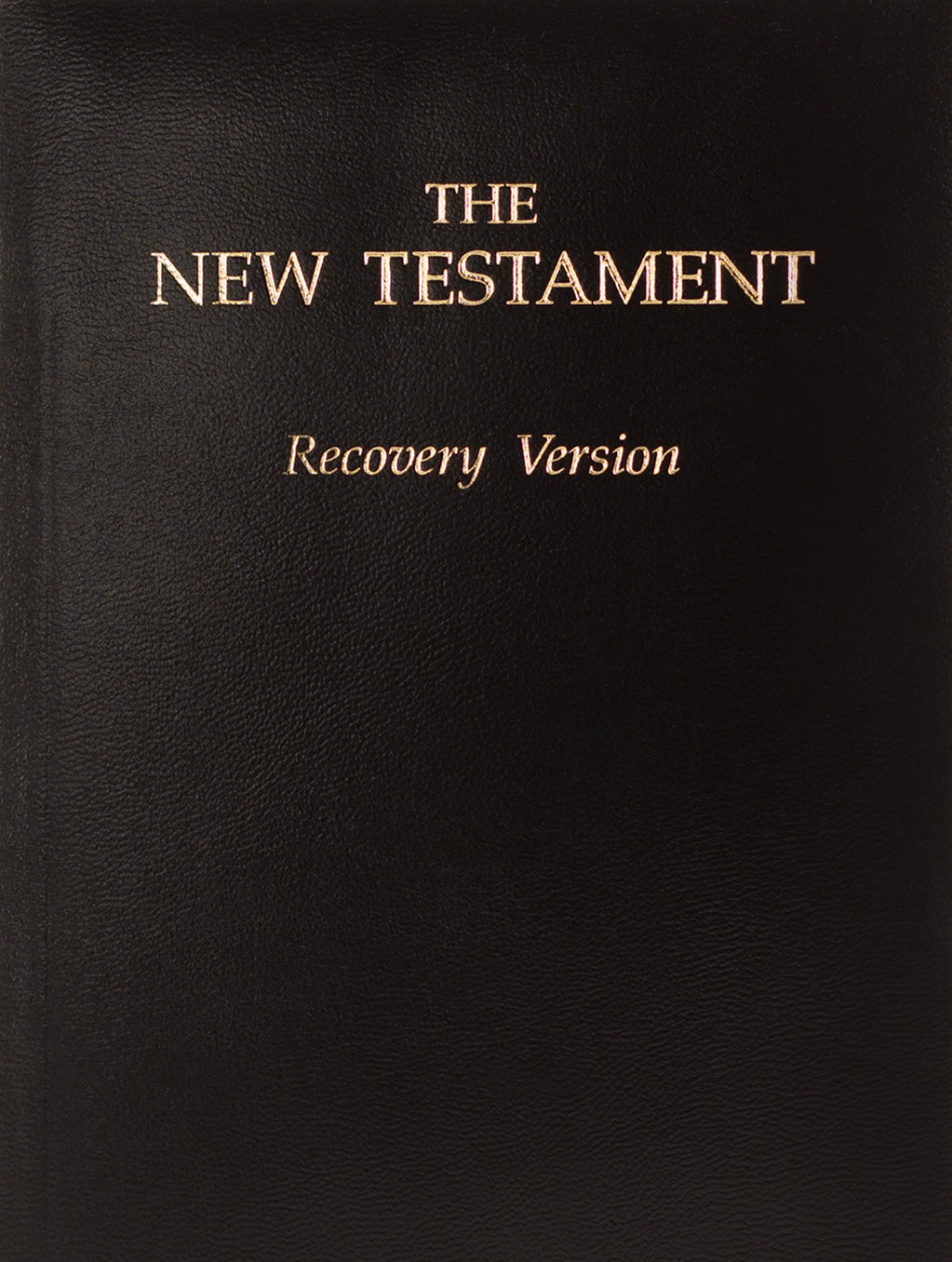 Free New Testament Study Bible – Bibles for Europe